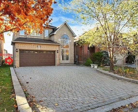 Basement - 282 Forest Run Boulevard, Vaughan, ON