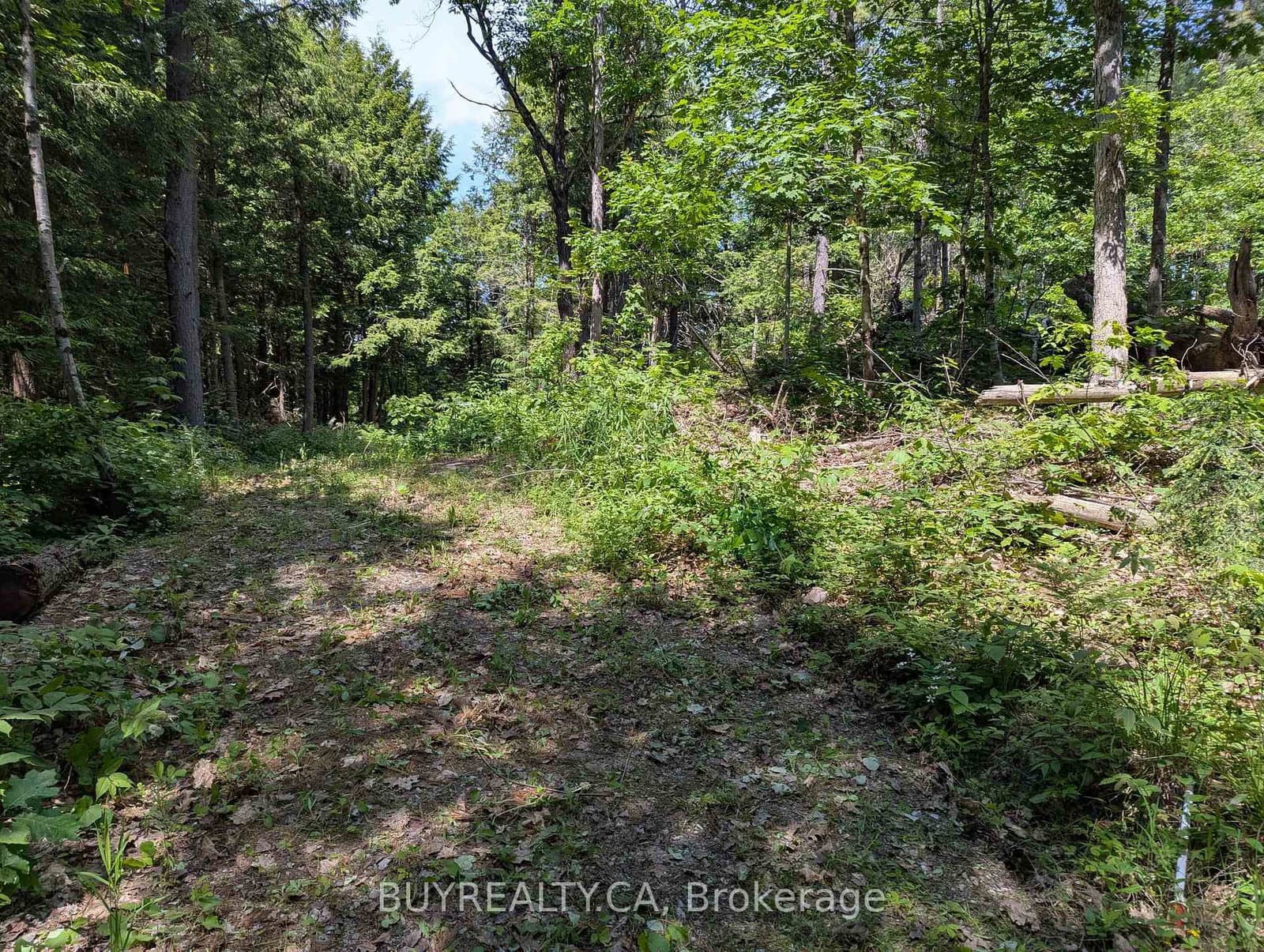 2318 Sherwood Forest Lane, Severn, ON — photo 3