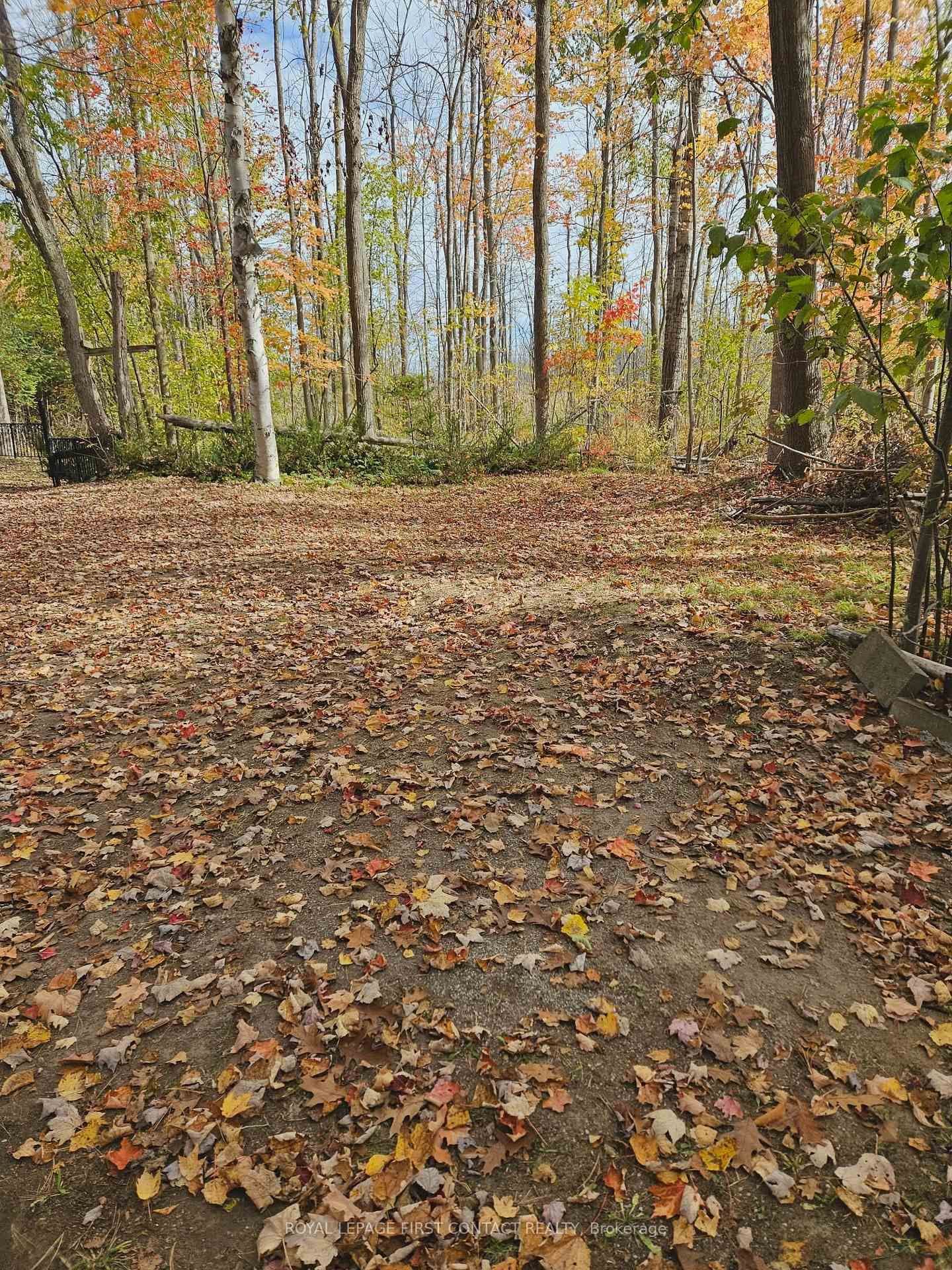 3040 Grass Lake Line, Severn, ON — photo 3