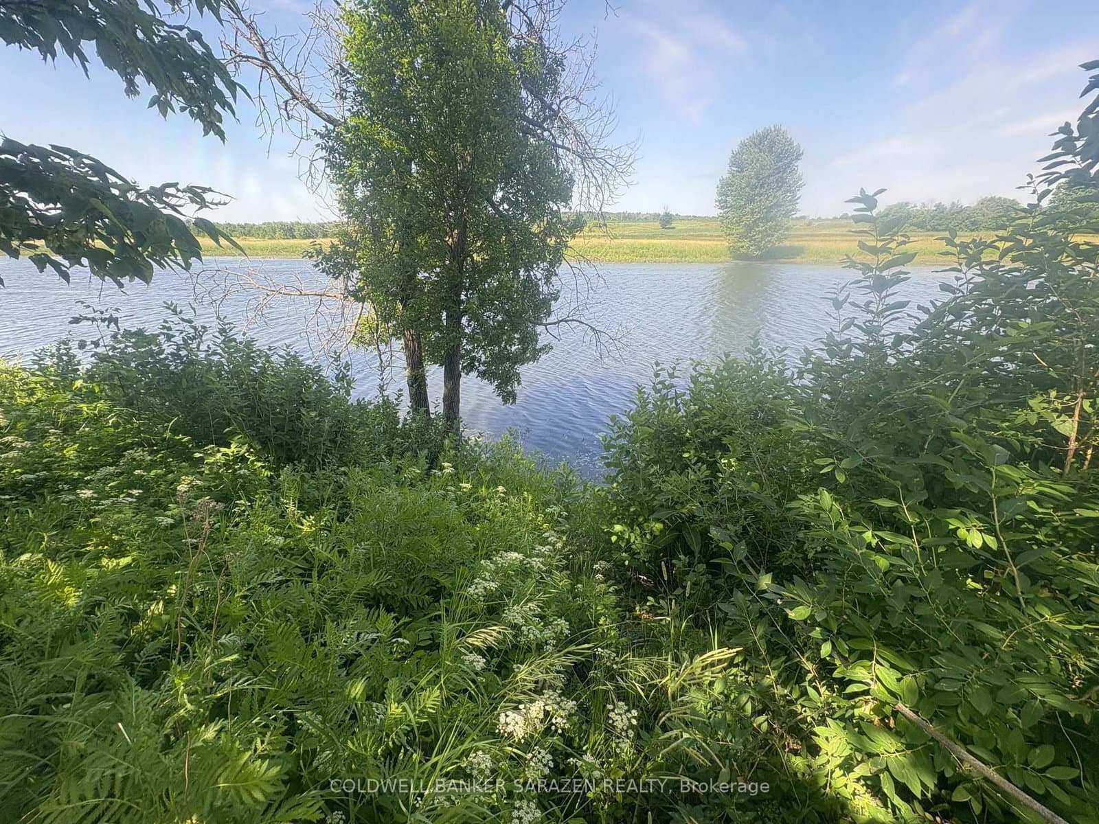 143 Gypsy Lane, Ottawa, ON