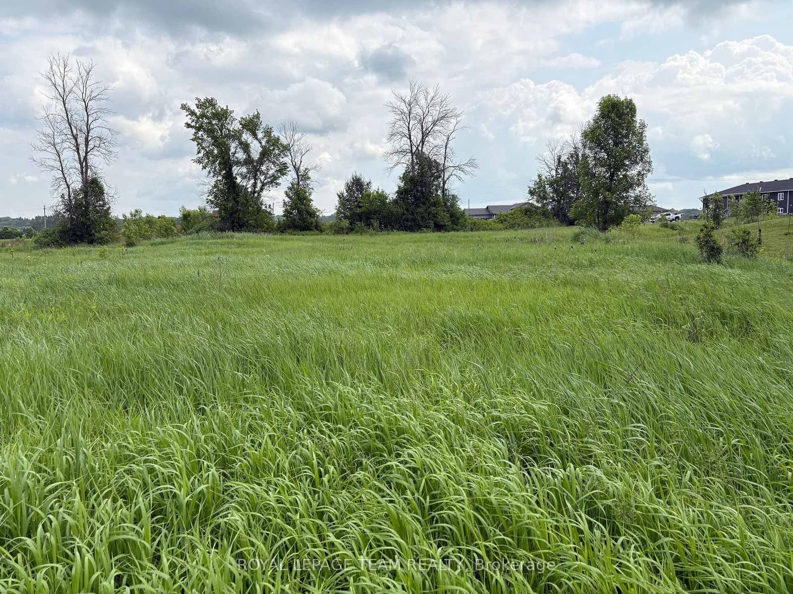 161 Old Pakenham Road, Fitzroy Harbour, ON — photo 3