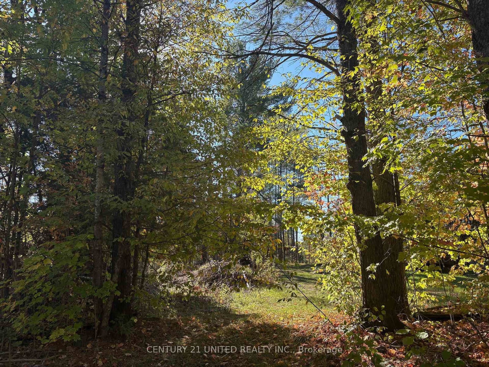 N/A Twin Sister Lakes Road, Limoges, ON — photo 2