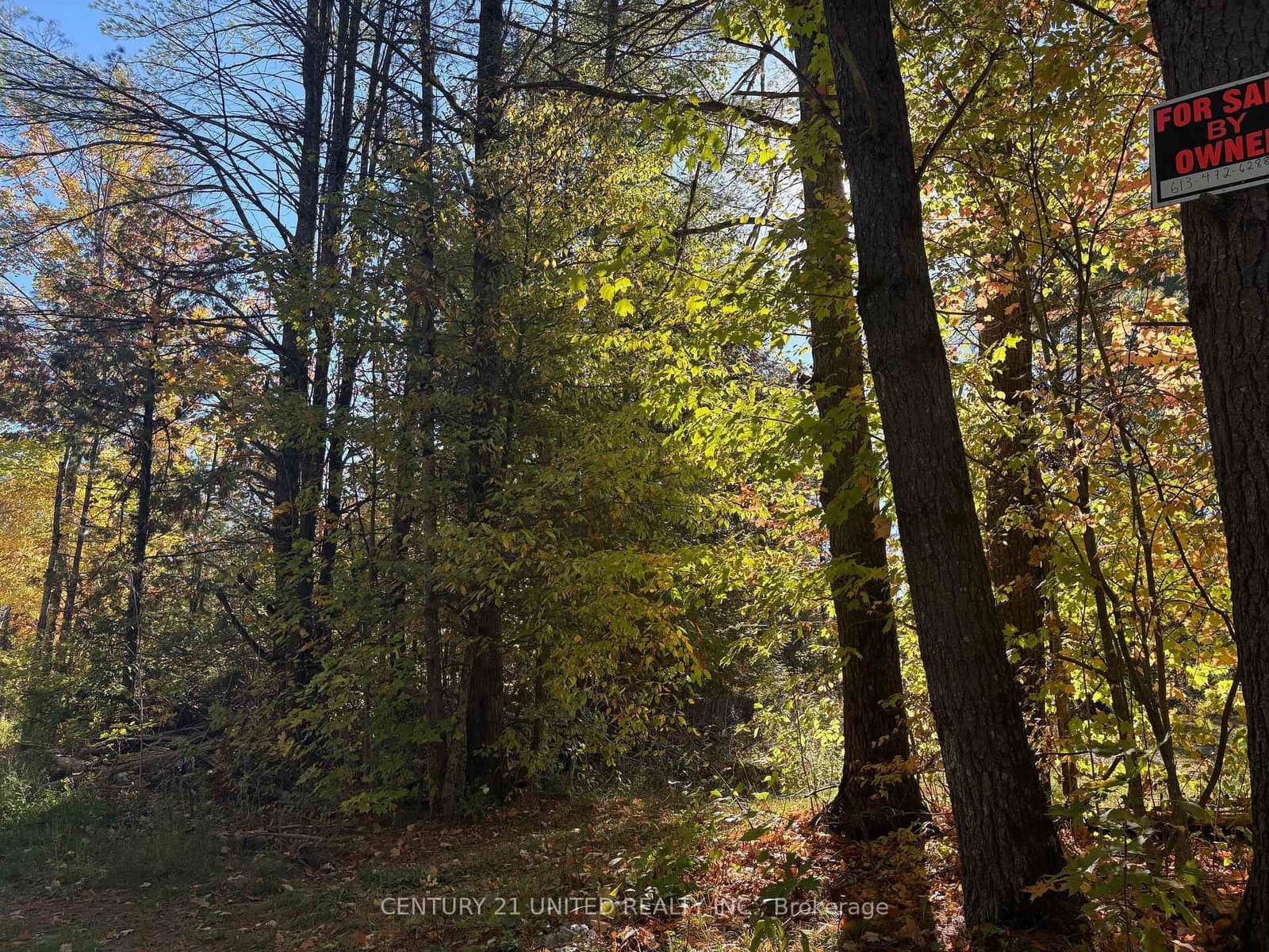 N/A Twin Sister Lakes Road, Limoges, ON — photo 3