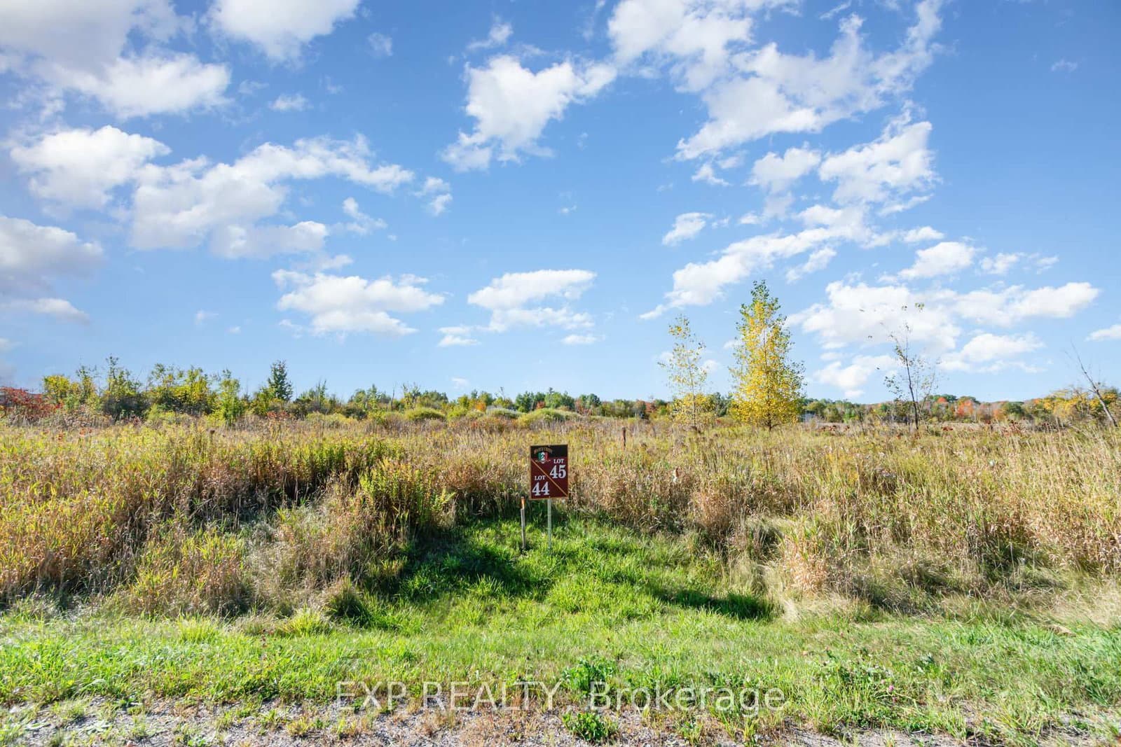 31 SYNERGY Way, Ottawa, ON — photo 3