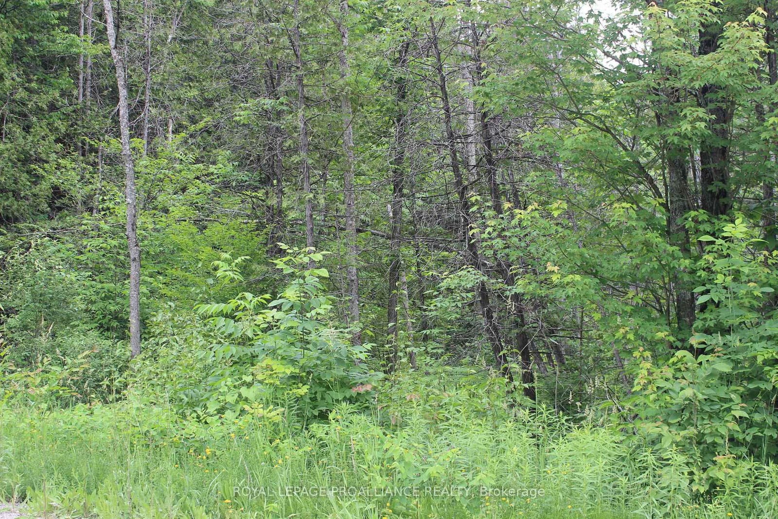 PT LT 11 RCP 2312, Bancroft, ON — photo 3