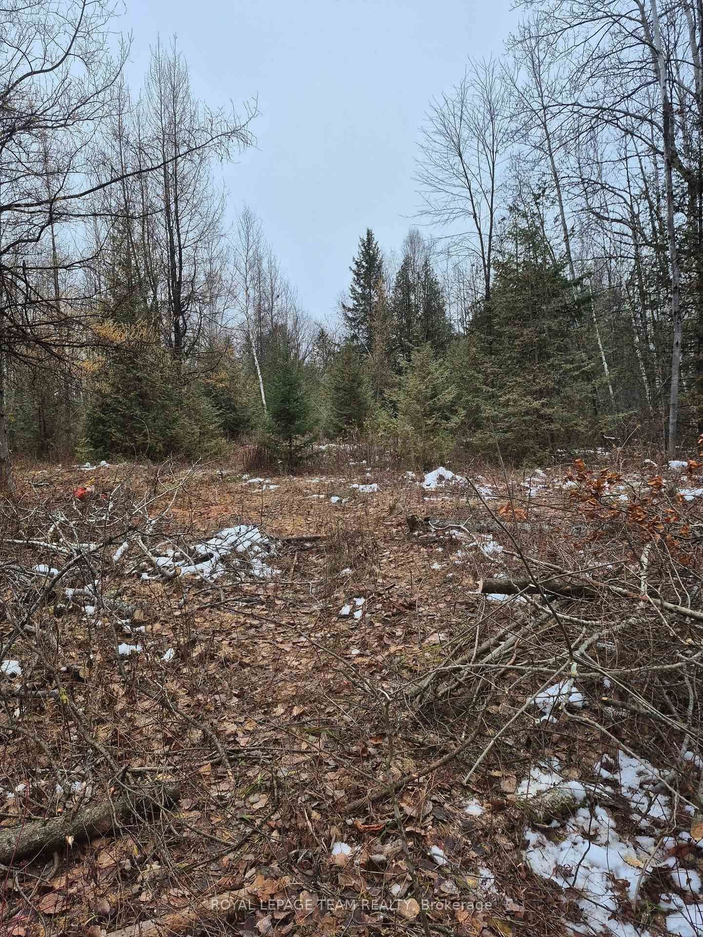 2819 Cowell Road, North Gower, ON — photo 2