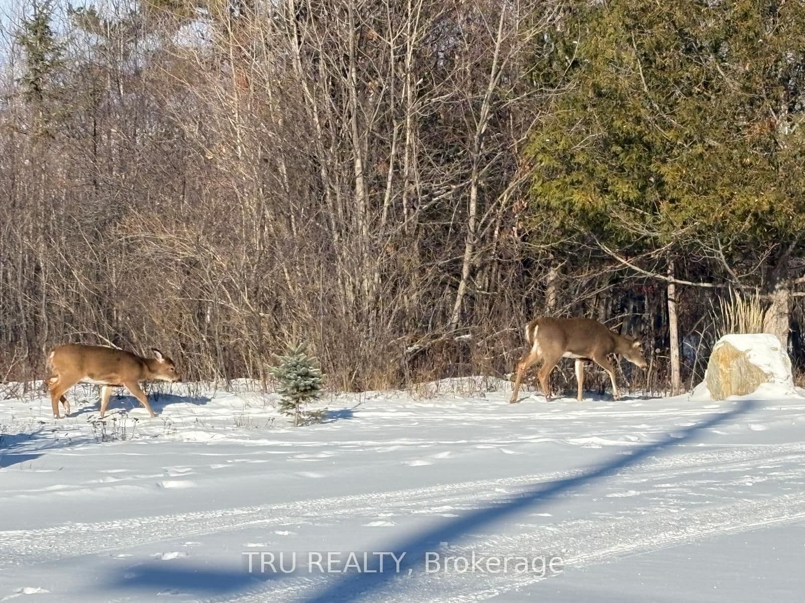 3024 Stoneridge Road, Ottawa, ON — photo 3