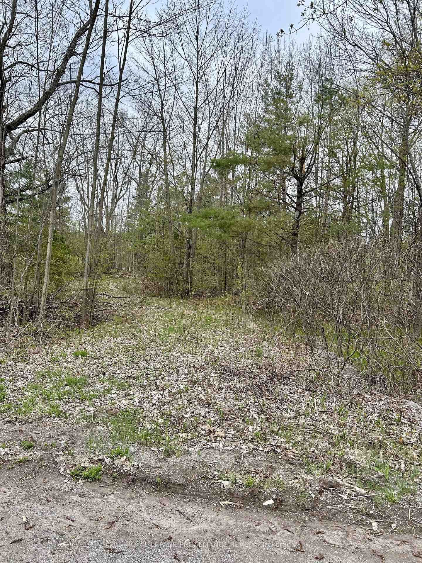31 Glen Ridge Road, Limoges, ON — photo 3