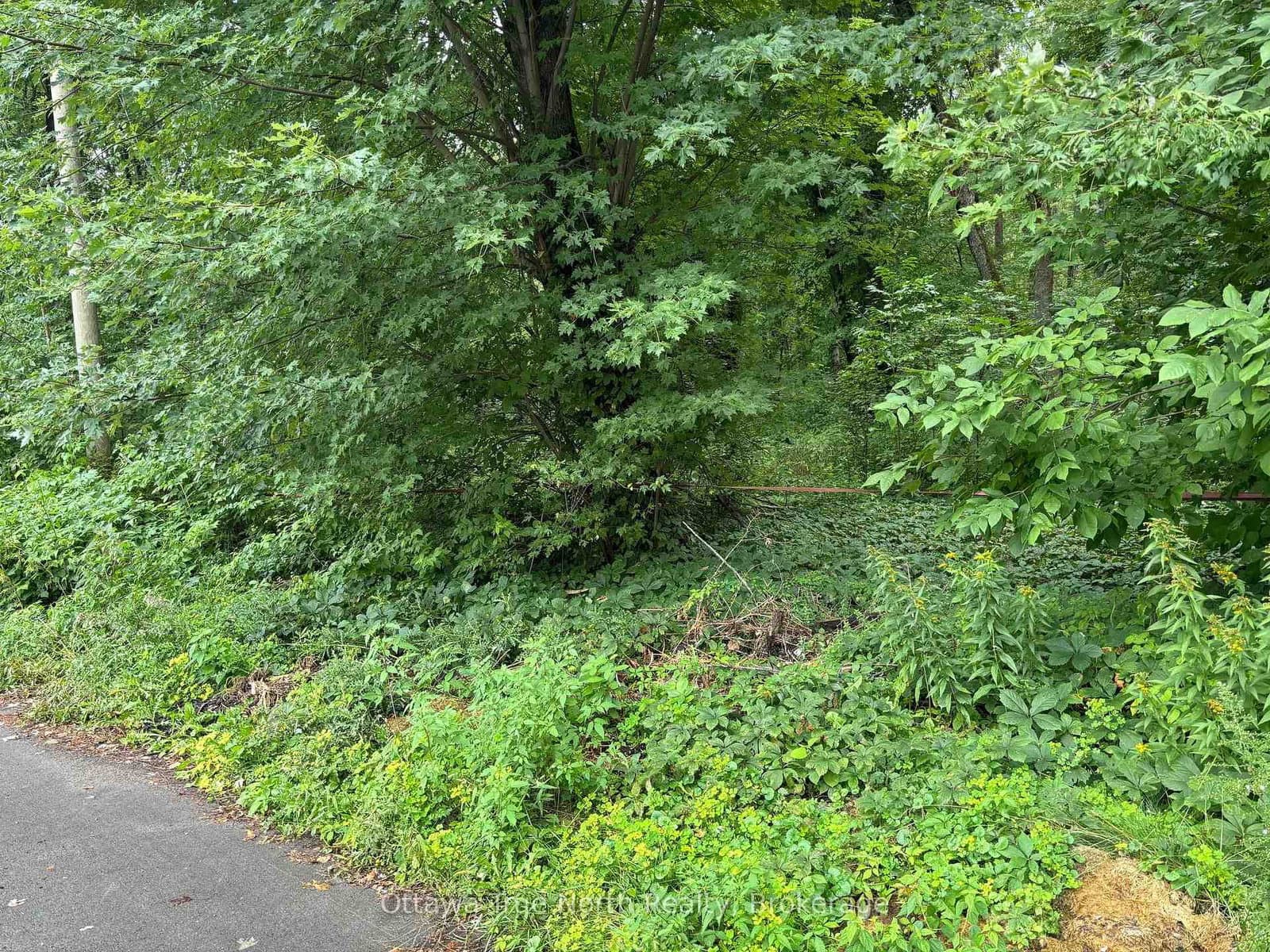 101 Allbirch Road, Ottawa, ON — photo 3