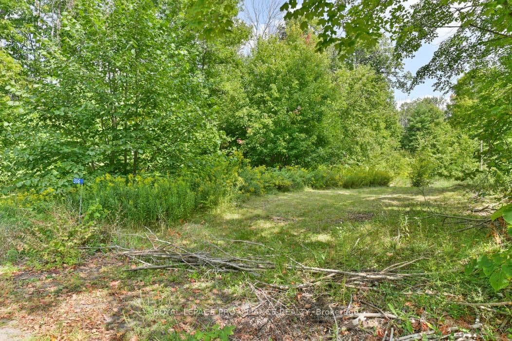 316 High Shore Road, Limoges, ON