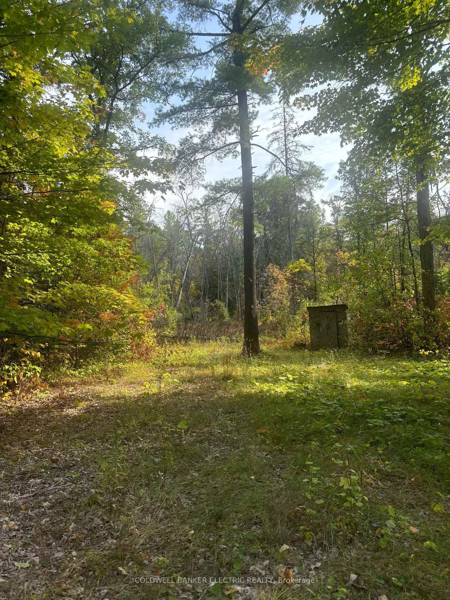 0 Pineview Court, Limoges, ON