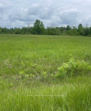 3447 Donnelly Drive, Kemptville, ON