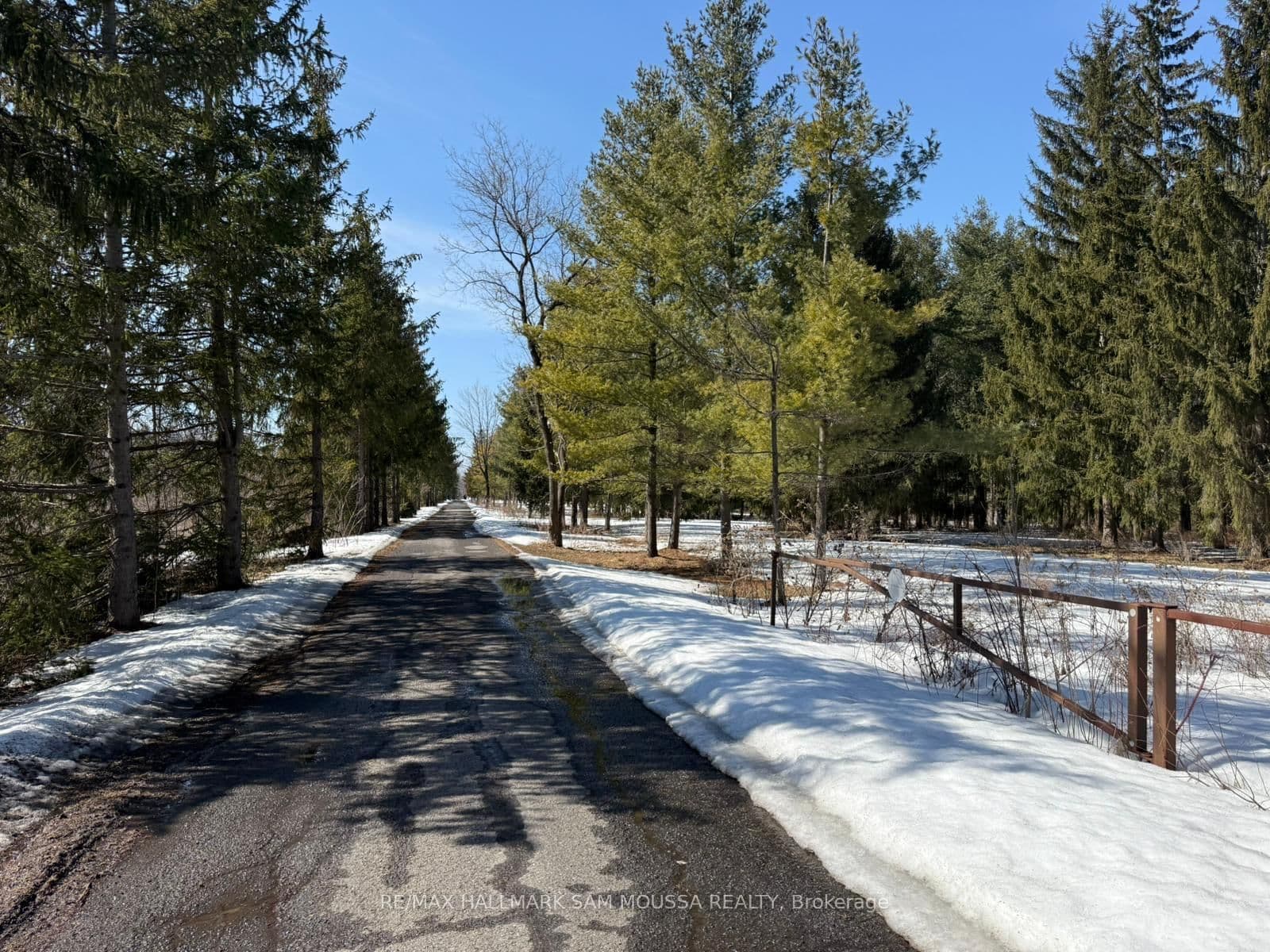 970 Cameron Street, Ottawa, ON — photo 2