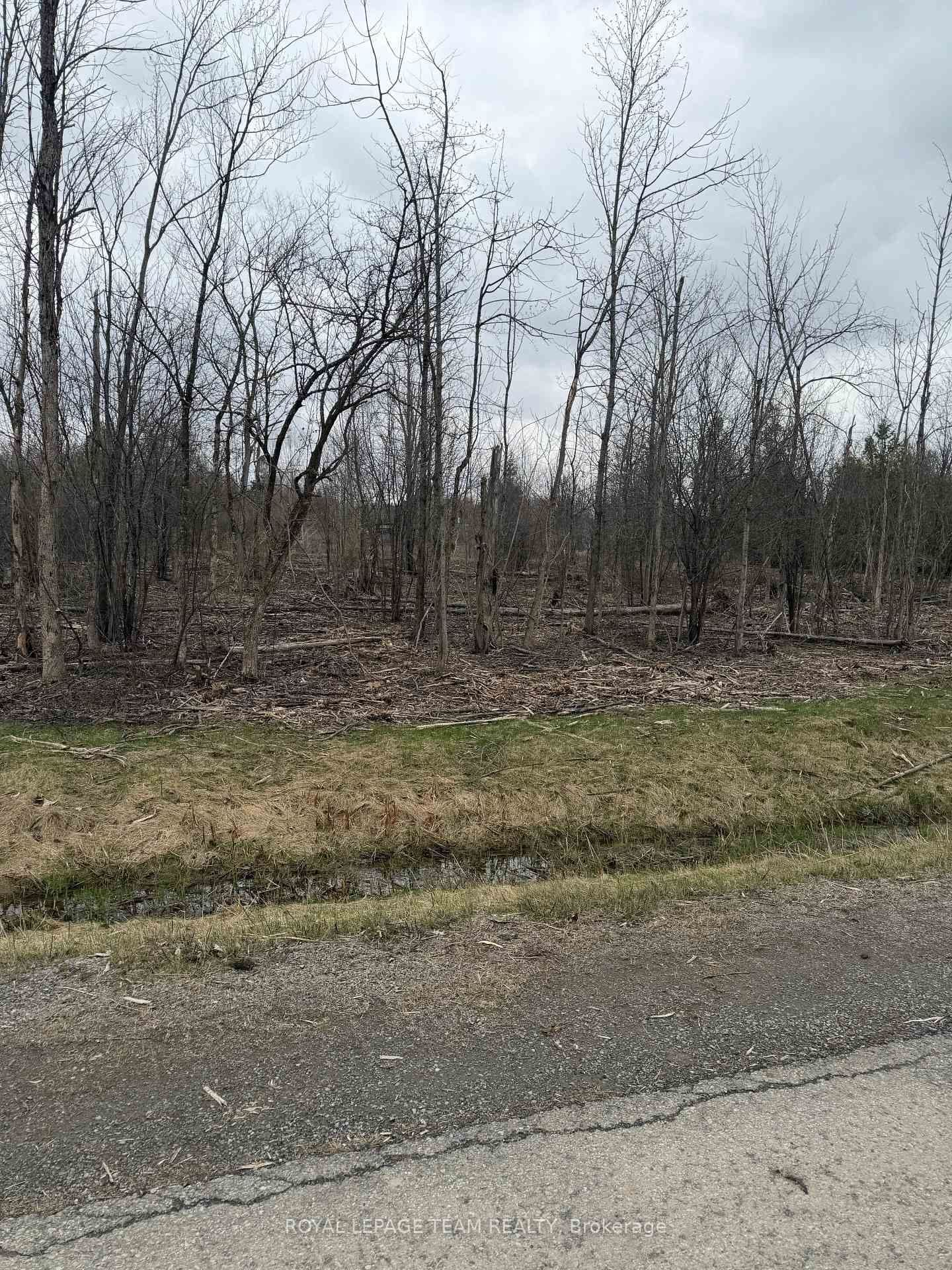 8074 Adam Baker Way, Metcalfe, ON — photo 2