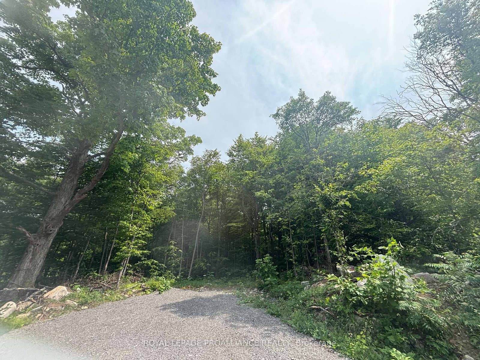 Severed B - 554 Pigden Road, Madoc, ON — photo 2