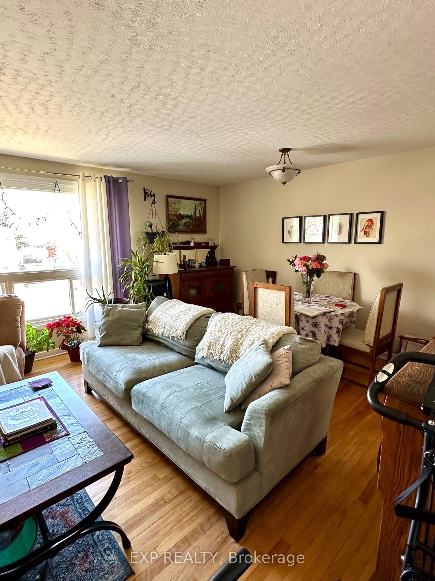 911 PINEWOOD Crescent, Ottawa, ON — photo 3