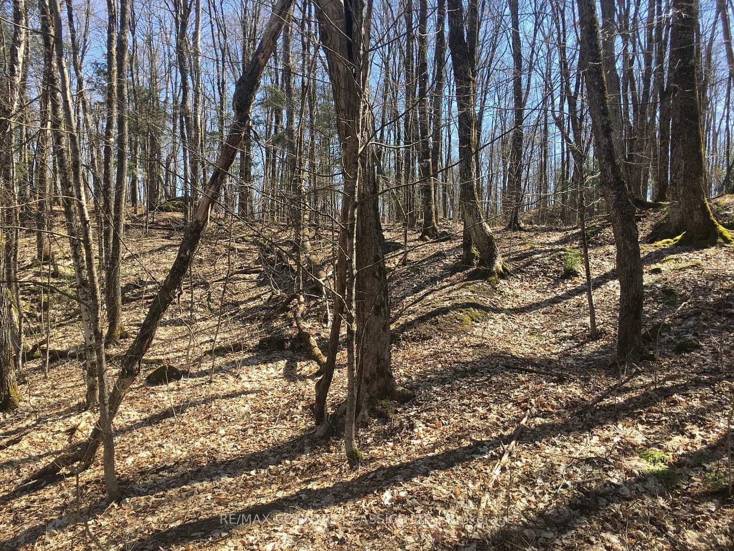 5192 Hwy 620, Coe Hill, ON — photo 3