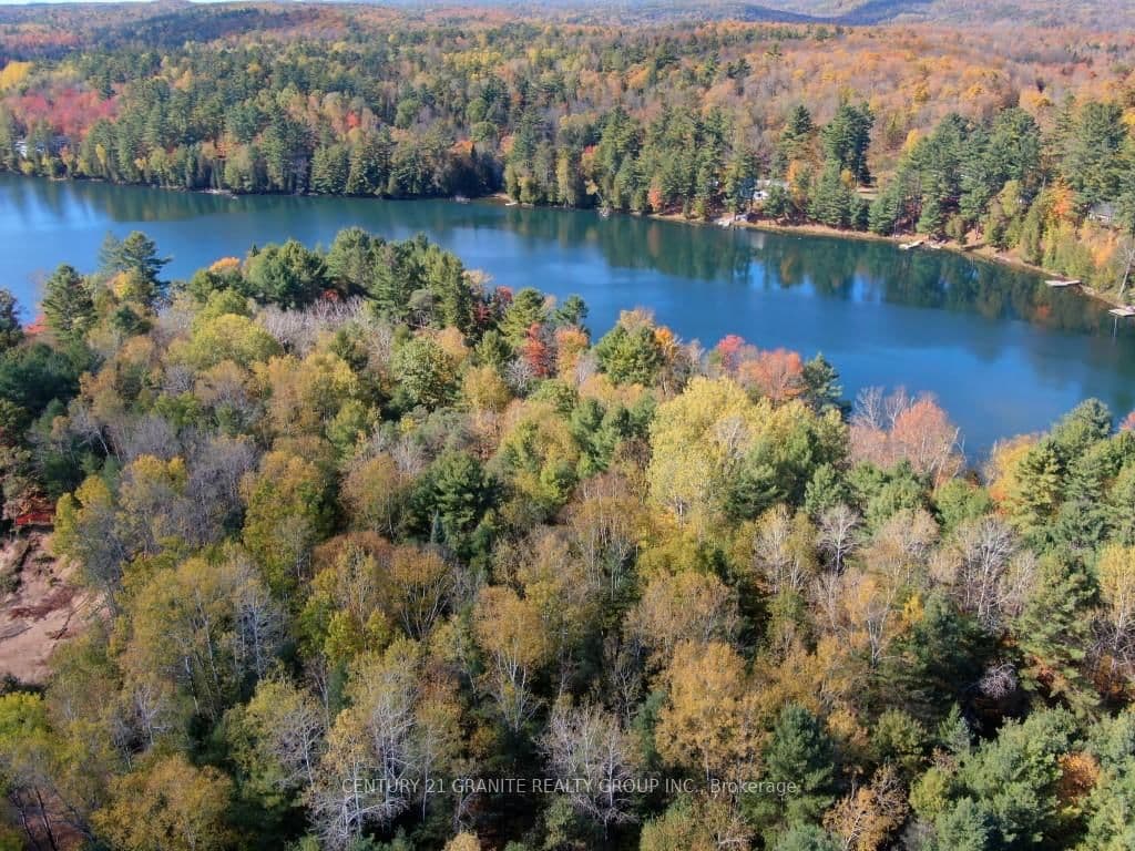 26457 Hwy 62 Highway, Bancroft, ON — photo 3