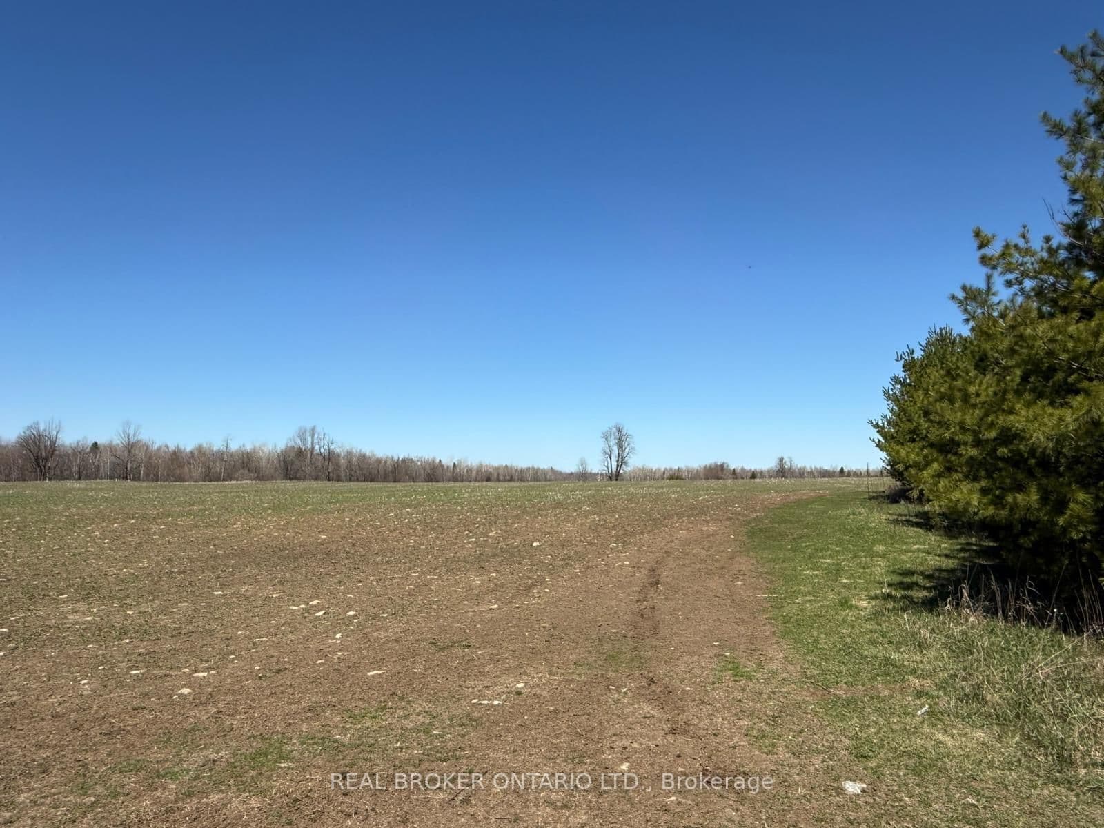 3115 PADEN Road, North Gower, ON — photo 3