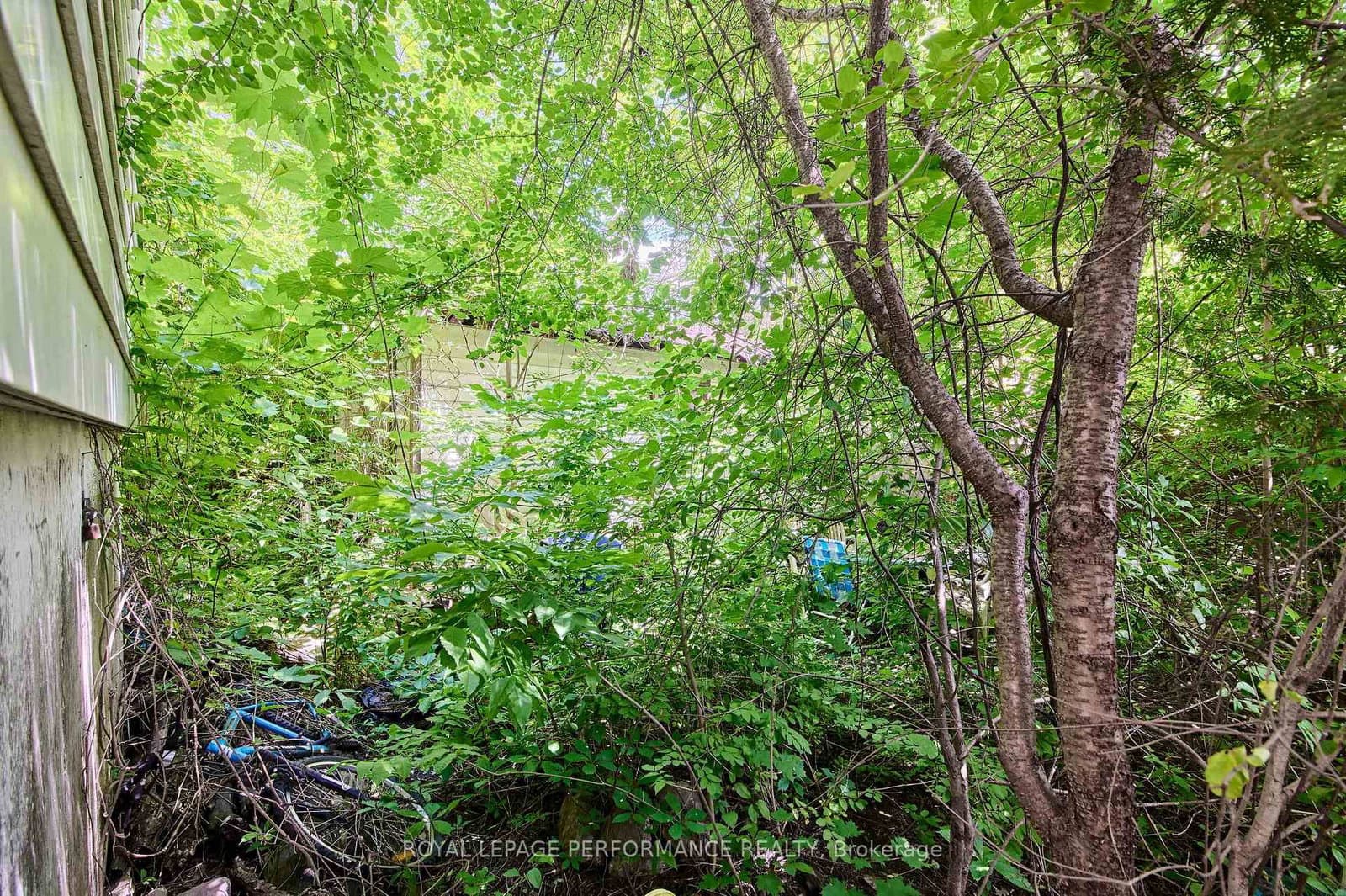 6 Ossington Avenue, Ottawa, ON — photo 3
