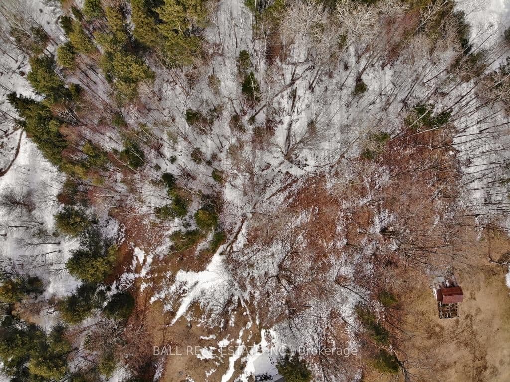 0 Unopened Road Allowance, Bancroft, ON — photo 2