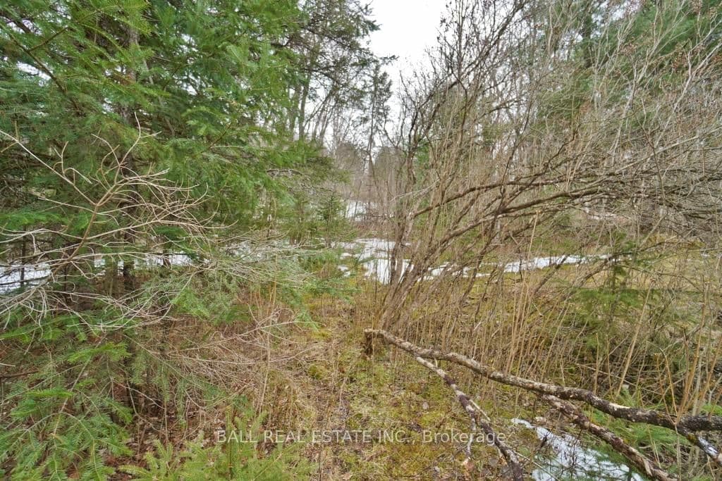 0 Unopened Road Allowance, Bancroft, ON — photo 3