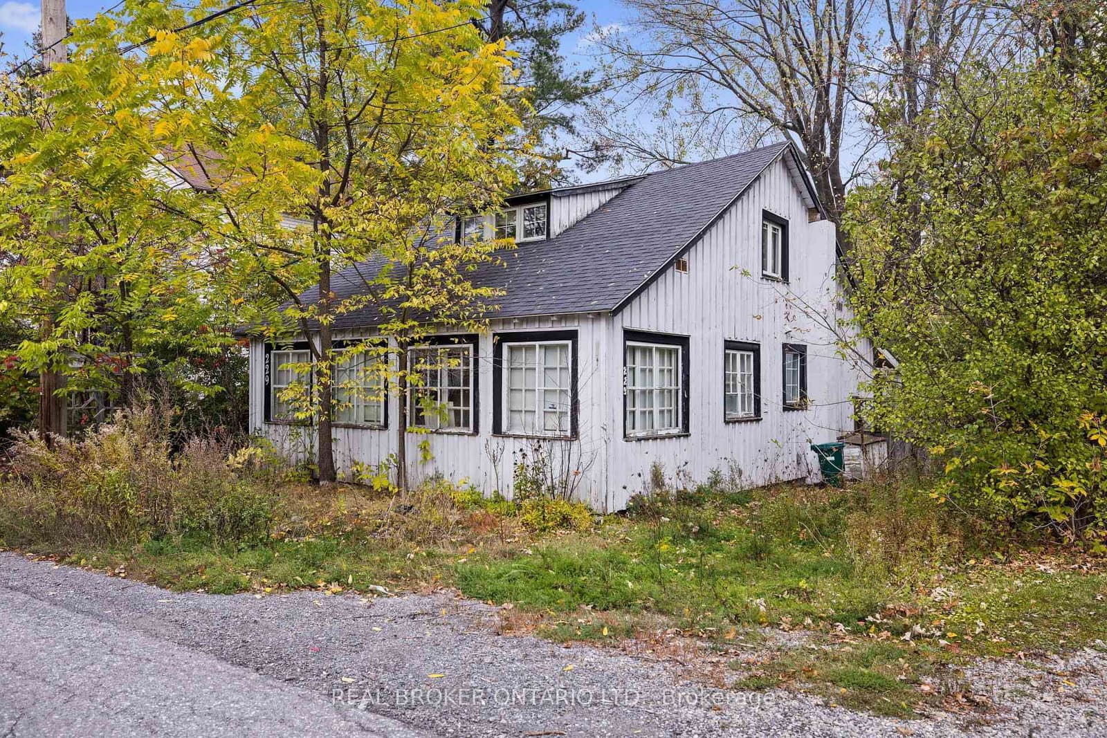 229 BRITANNIA Road, Ottawa, ON — photo 3