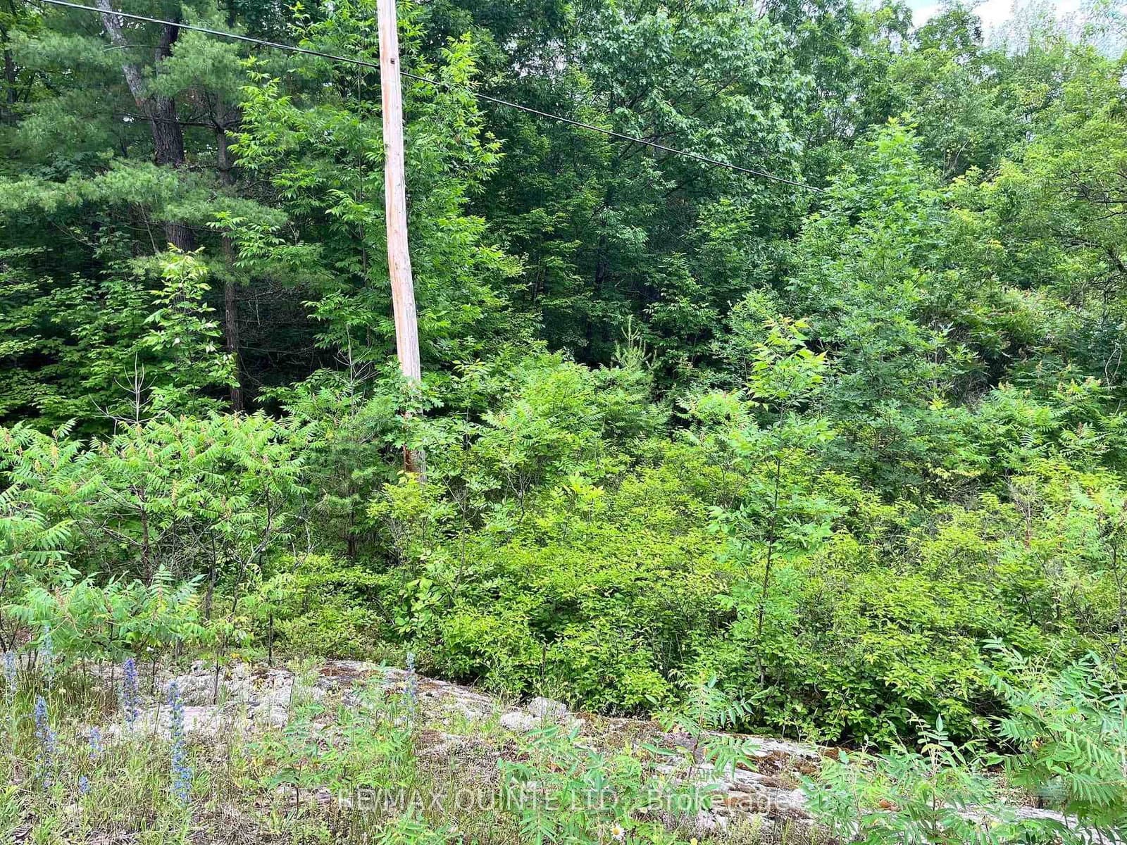 0 (PIN - 40264- Potter Settlement Road, Tweed, ON — photo 3