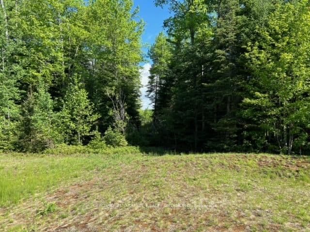 Lot 27 Bancroft Ridge Drive, Bancroft, ON — photo 3