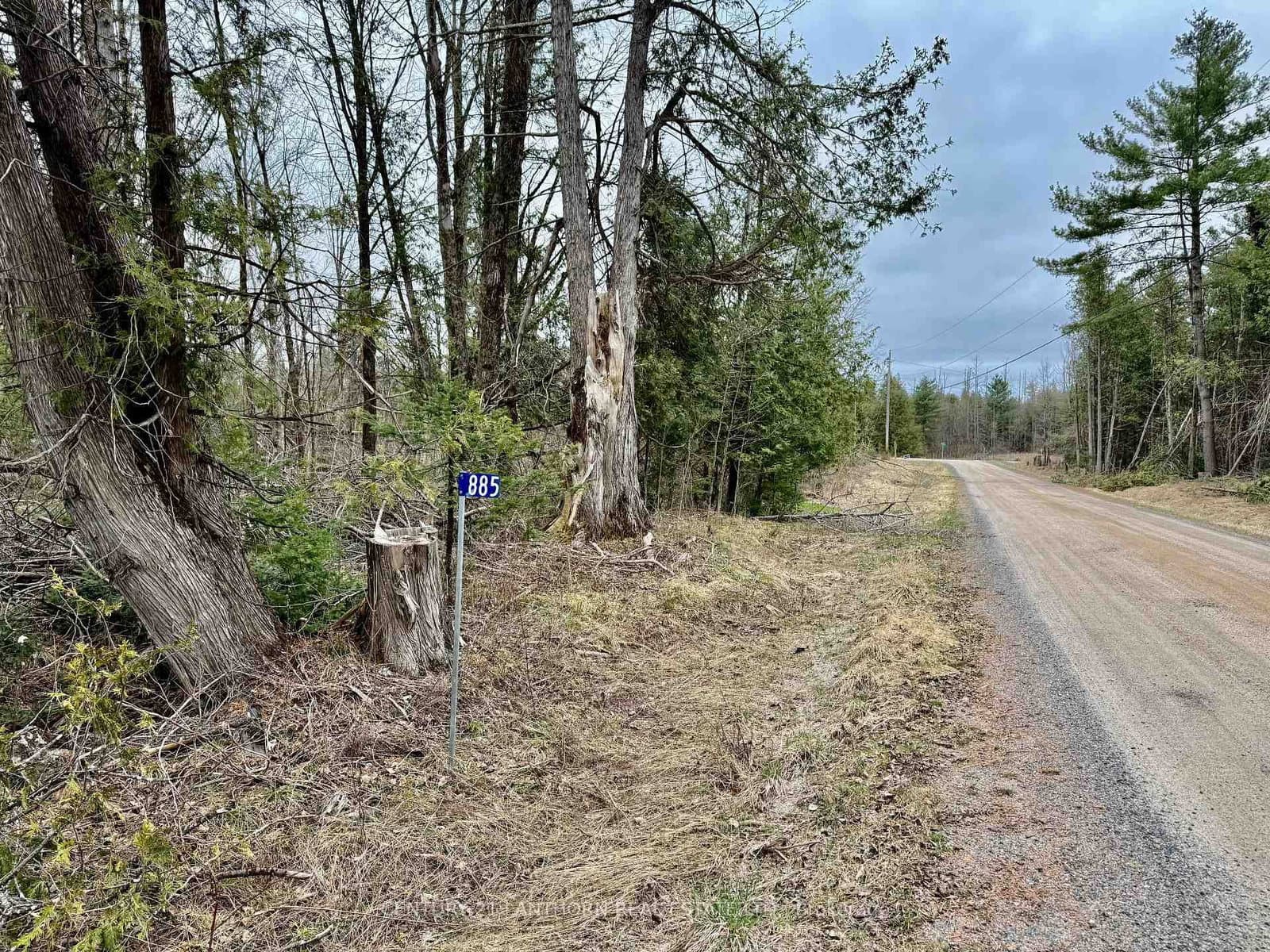 885 Cleveland Road, Madoc, ON