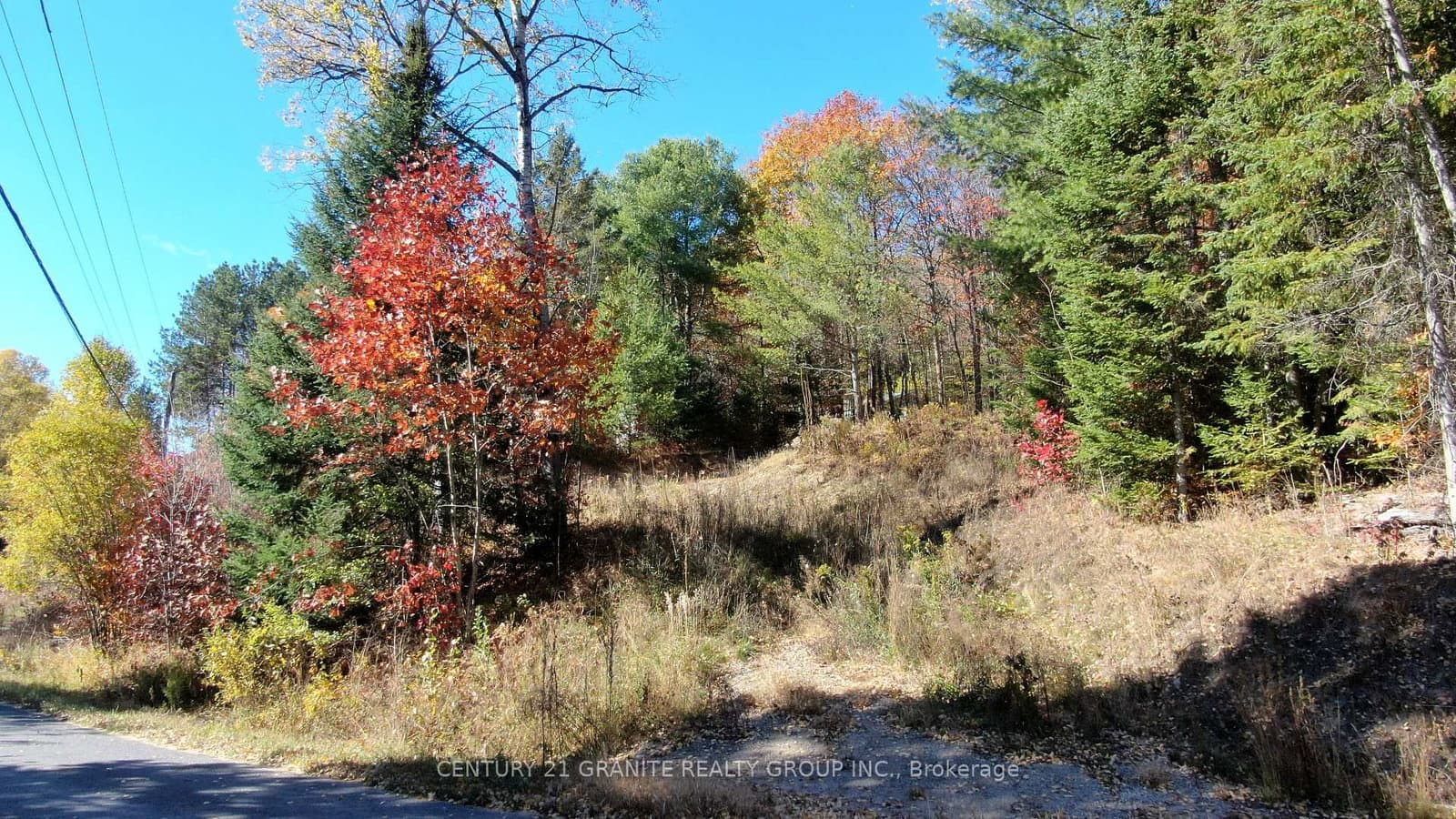178 Gaebel Road, Bancroft, ON