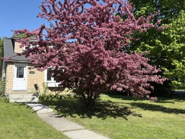 185 Compton Avenue, Ottawa, ON — photo 15