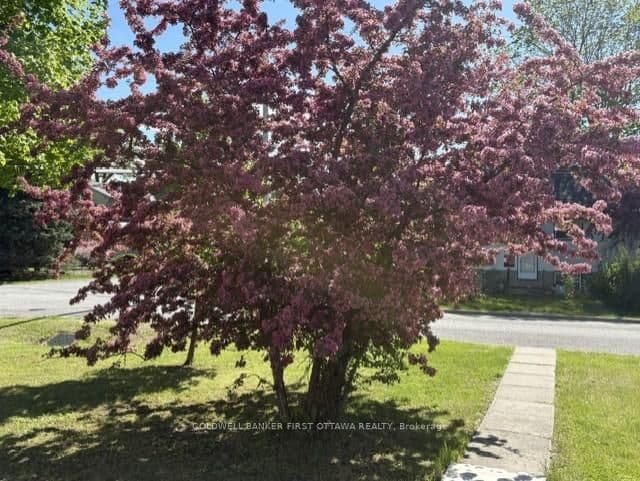 185 Compton Avenue, Ottawa, ON — photo 7