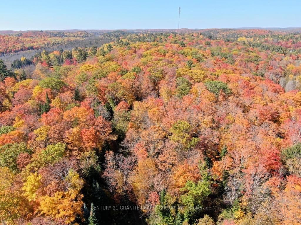 CON EHR PT LOT 25 M-25 LOT 4, Bancroft, ON — photo 3