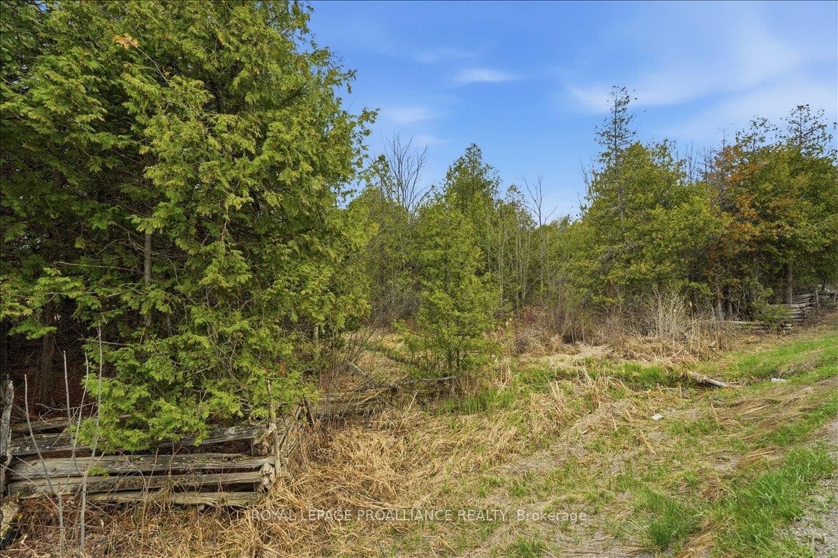 0 Quin Mo Lac Road, Tweed, ON — photo 3