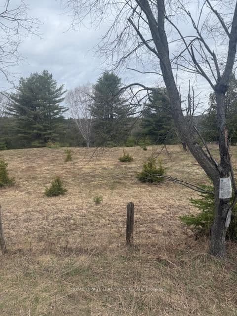 Lot 1 Detlor Road, Bancroft, ON