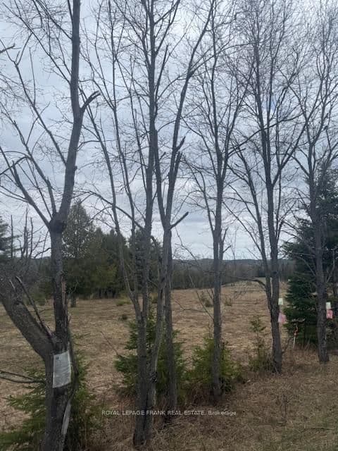 Lot 2 Detlor Road, Bancroft, ON — photo 2