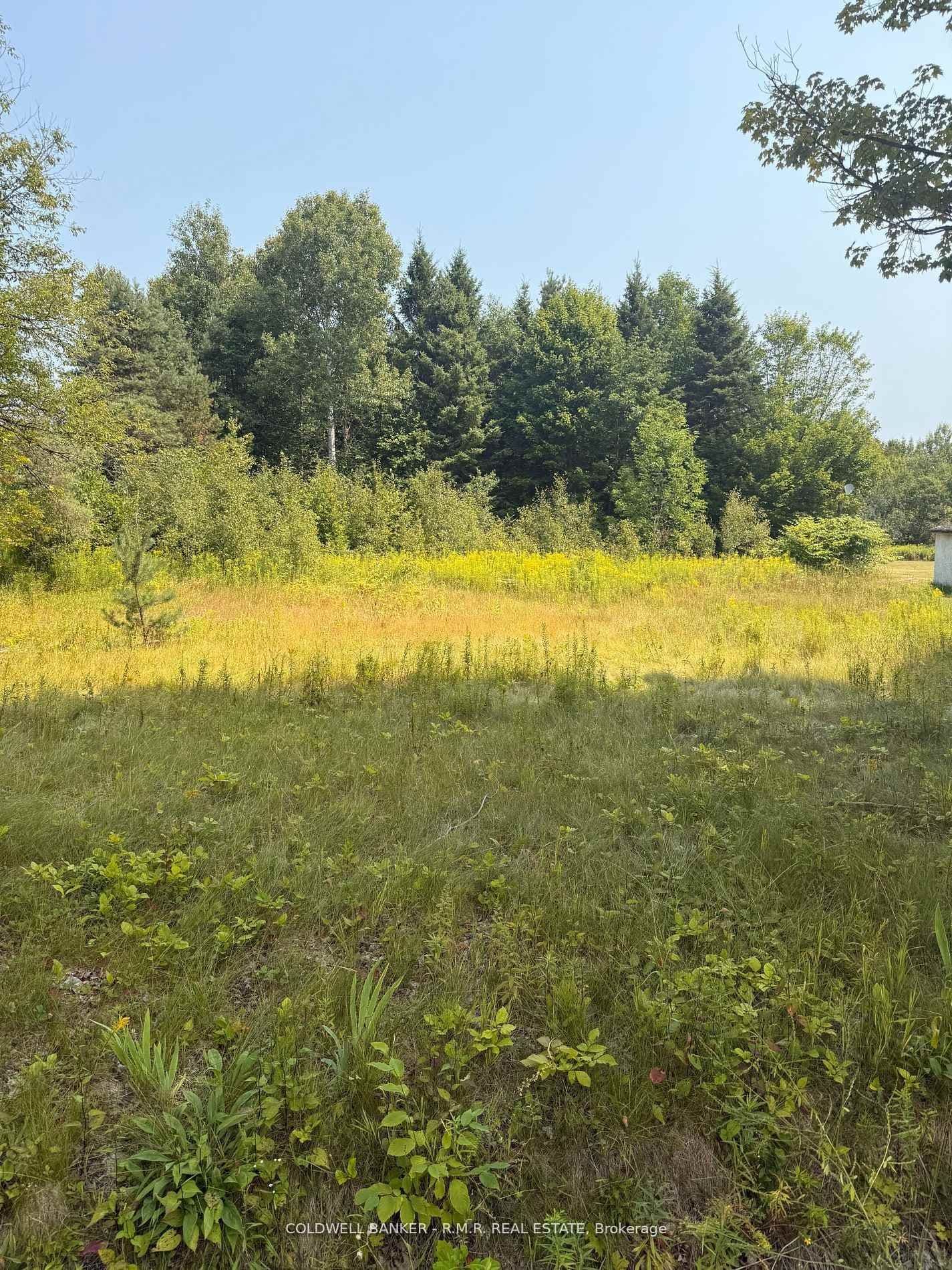 3995 Boulter Road, Boulter, ON