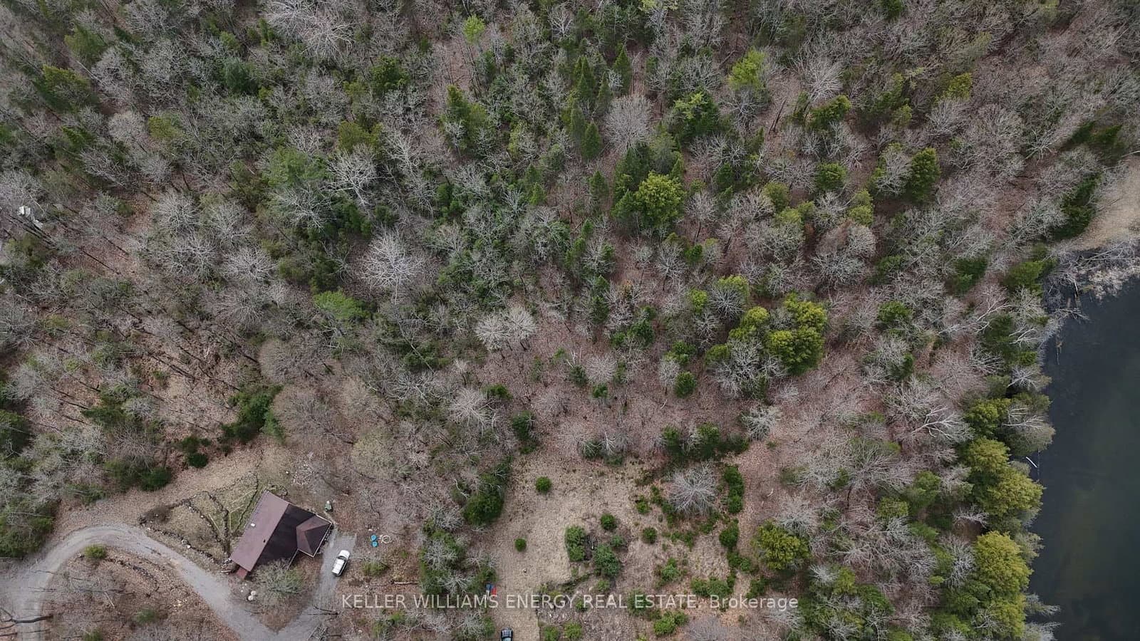 1805 Bay Lake Road, Bancroft, ON — photo 3