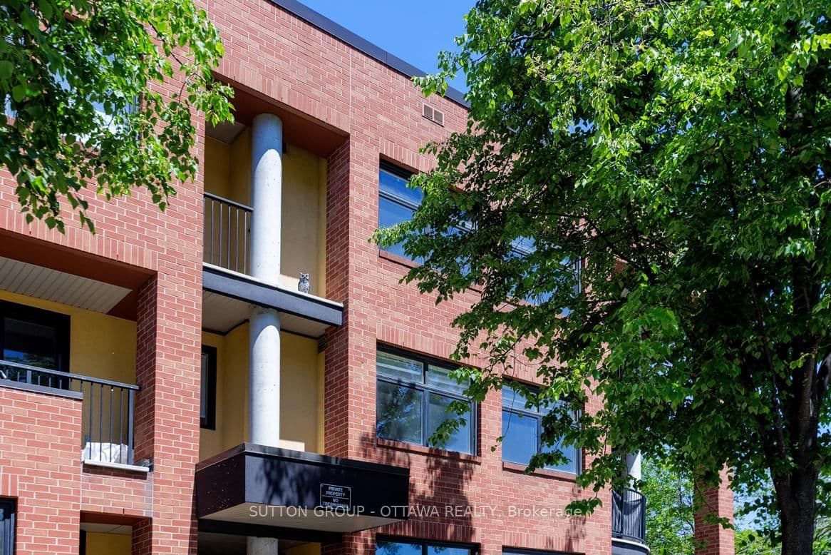 10 - 255 Clarence Street, Ottawa, ON — photo 3