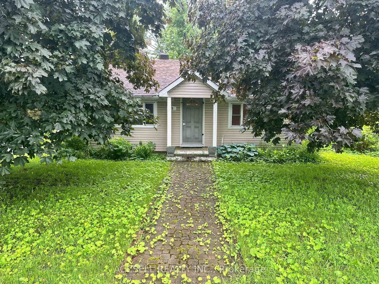 35 Lennox Street, Richmond, ON