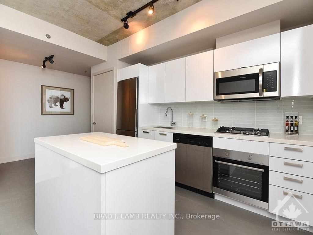 209 - 203 CATHERINE Street, Ottawa, ON — photo 9