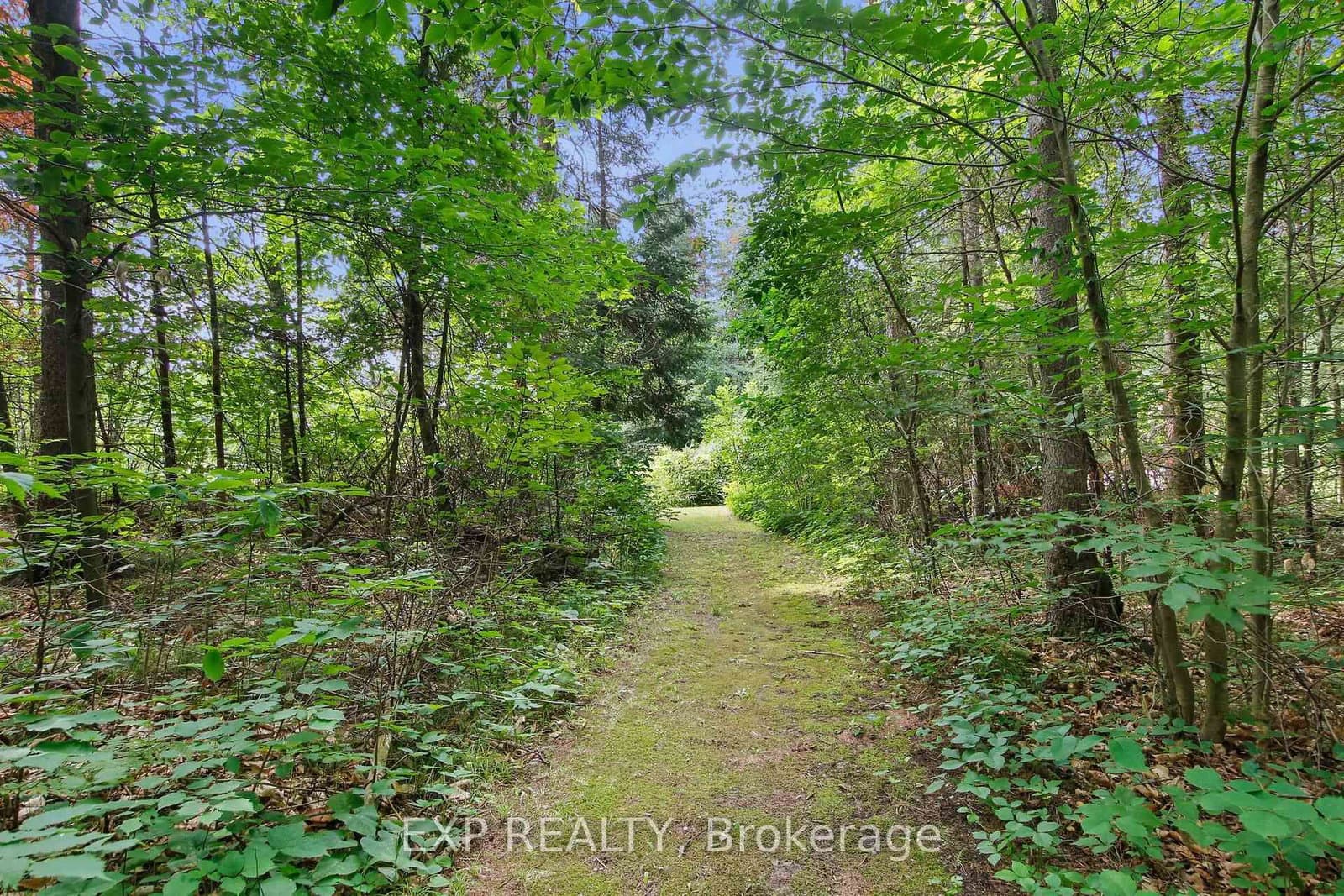 1798 Burnt Lands Road, Carp, ON — photo 42