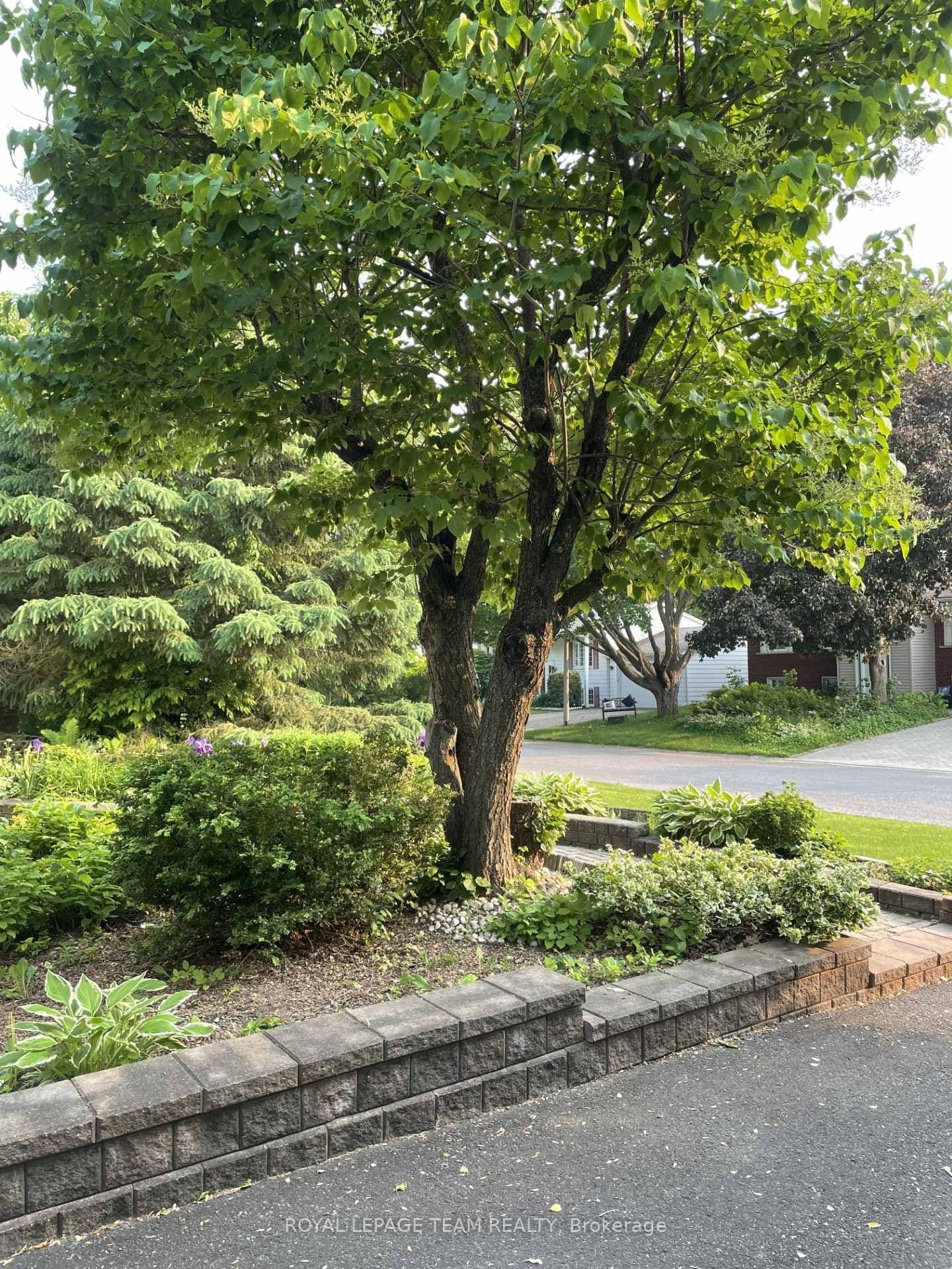 30 Juniper Court, Ottawa, ON — photo 25