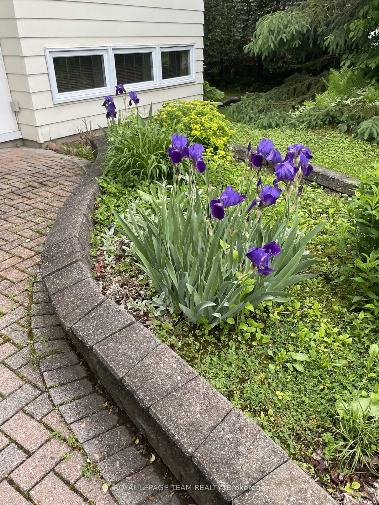 30 Juniper Court, Ottawa, ON — photo 26